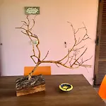 Mimosa Gospodarstwo wiejskie *