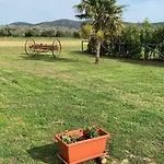 Mimosa Gospodarstwo wiejskie