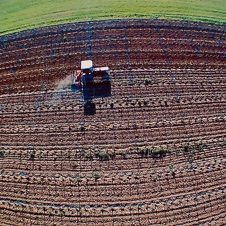 Mimosa 컨트리하우스 리스페샤