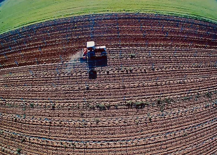 Mimosa 컨트리하우스 리스페샤