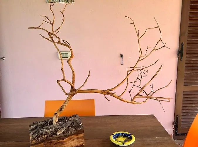 Mimosa 컨트리하우스 *