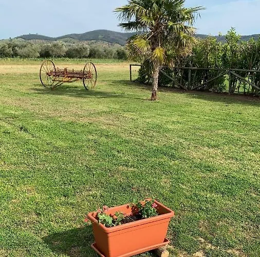 Mimosa 컨트리하우스