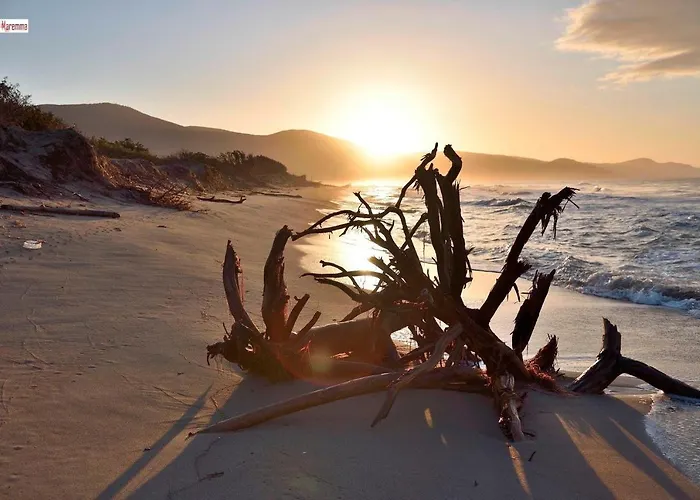 Mimosa 컨트리하우스 리스페샤