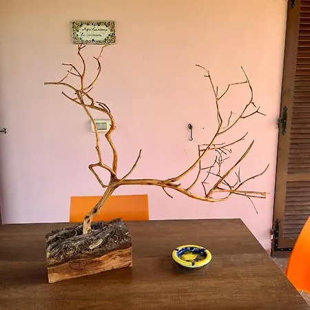 Mimosa Landhaus *
